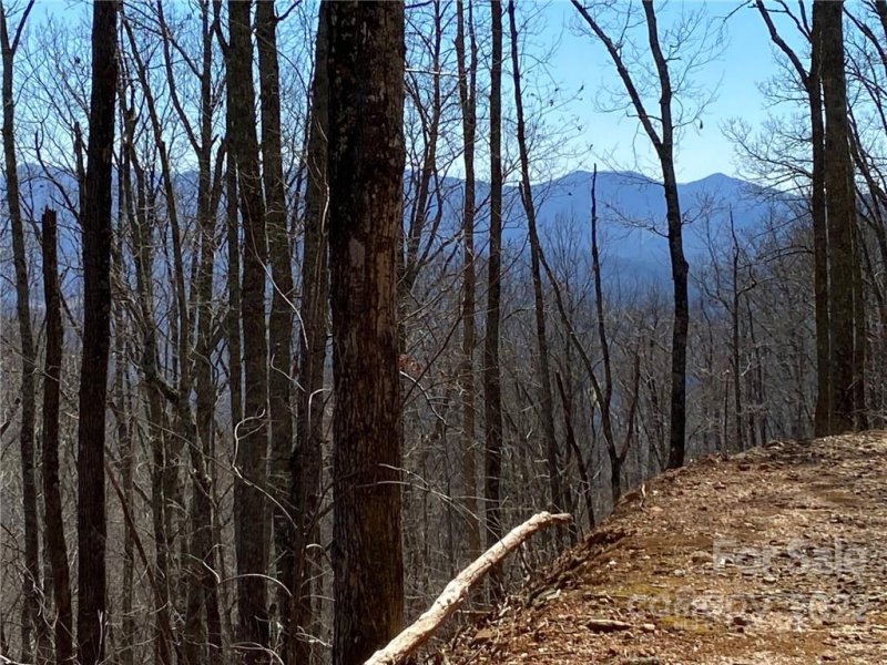 Property image 4 at 69 Sliding Rock Road, Sylva, NC 28779