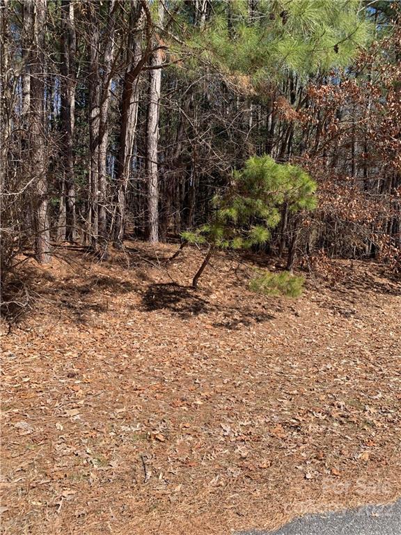 Property image 3 at 0 River Haven Drive, Taylorsville, NC 28681