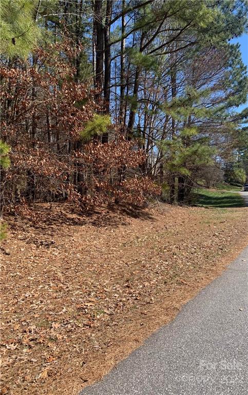 Property image 4 at 0 River Haven Drive, Taylorsville, NC 28681