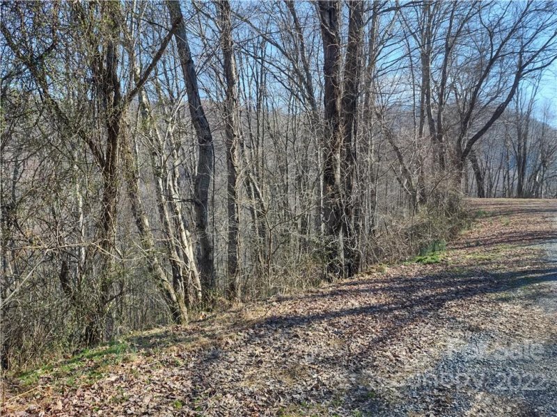 Property image 2 at Lot 22 Griska Drive, Clyde, NC 28721