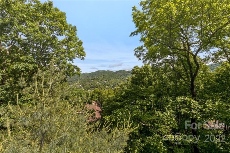 Property image 3 at 3301 Timber Trail, Asheville, NC 28804