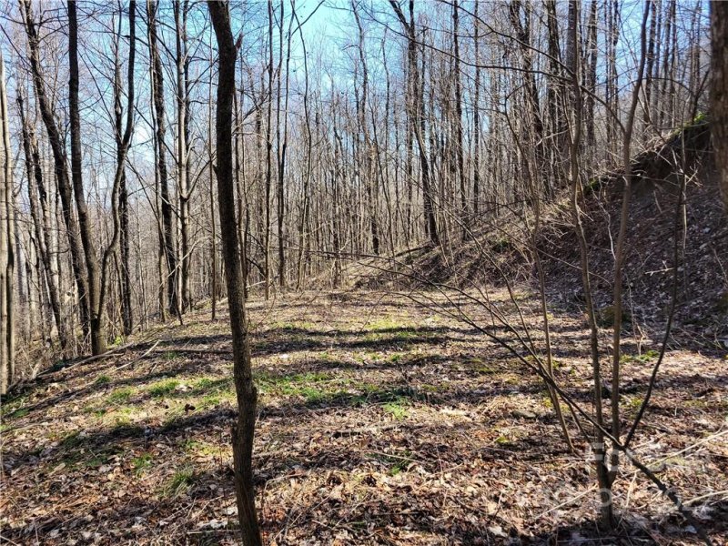 Property image 3 at 10 Twin Brook Drive, Waynesville, NC 28785