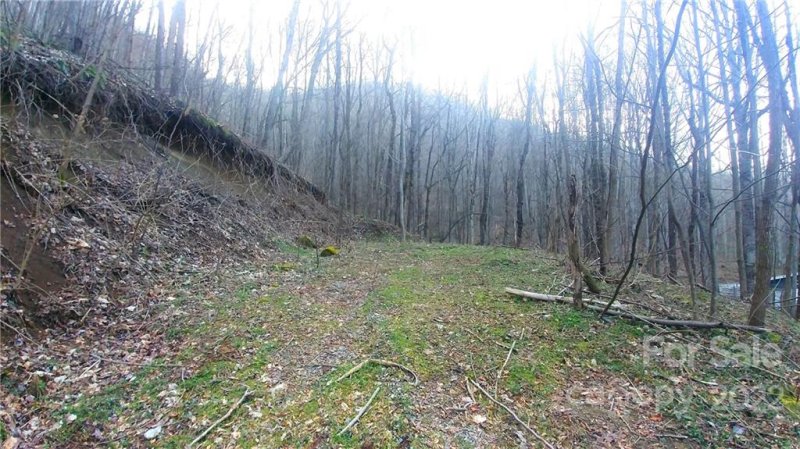 Property image 5 at 10 Twin Brook Drive, Waynesville, NC 28785