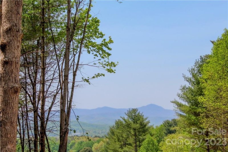 Property image 5 at 4 Northview Drive, Hendersonville, NC 28791