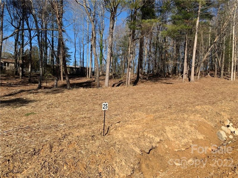 Property image 5 at 25 Northview Drive, Hendersonville, NC 28791