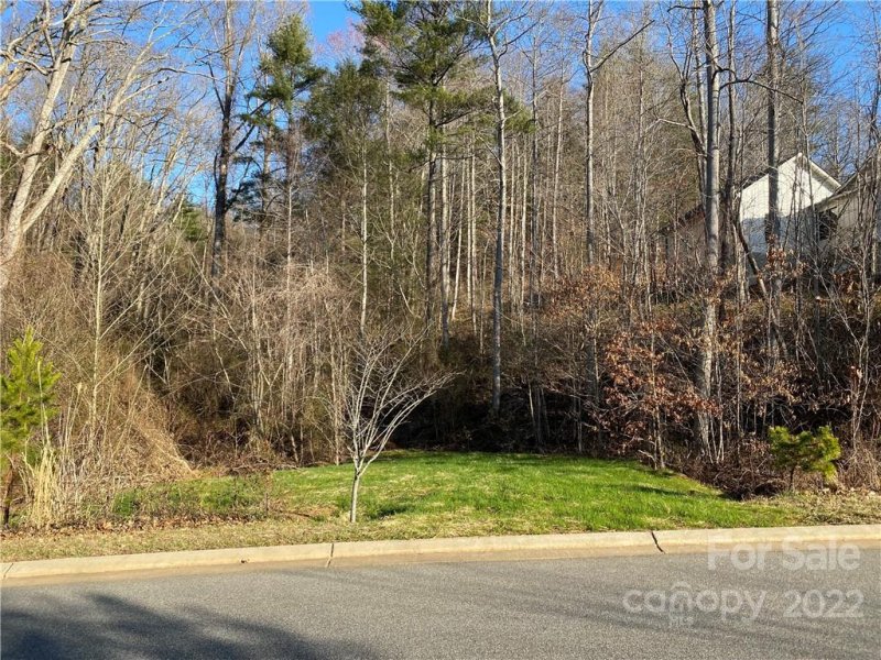 Property image 3 at 58 Versailles Lane, Asheville, NC 28804