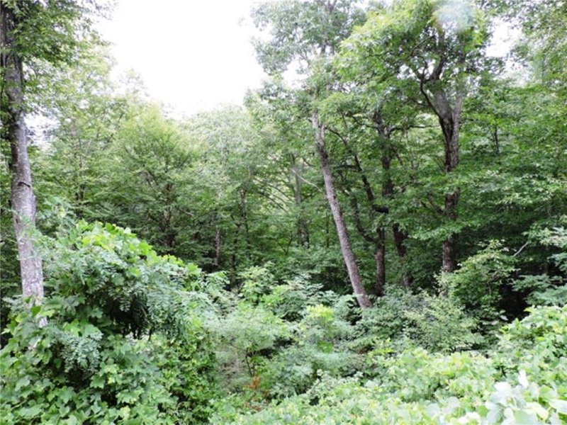 Property image 4 at 0 Rainbow Trout Drive, Spruce Pine, NC 28749