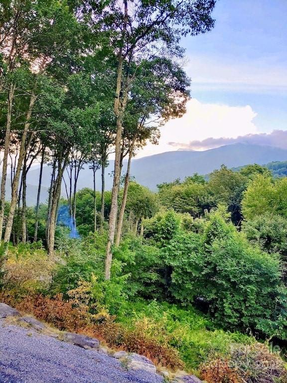 Property image 2 at 1251 Long Branch Road, Maggie Valley, NC 28751