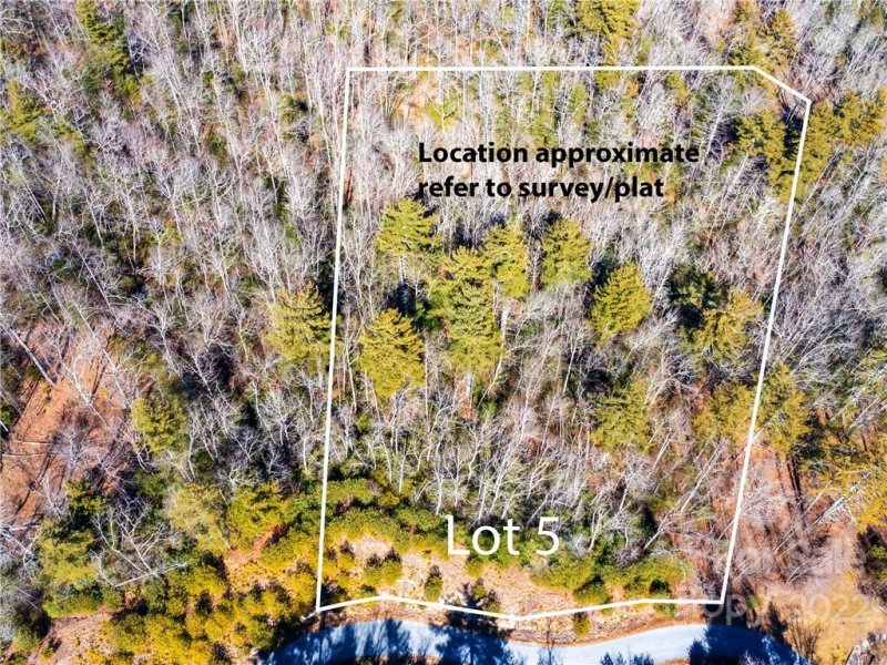 Property image 4 at Lot 5 Willow Run Lane, Zirconia, NC 28790