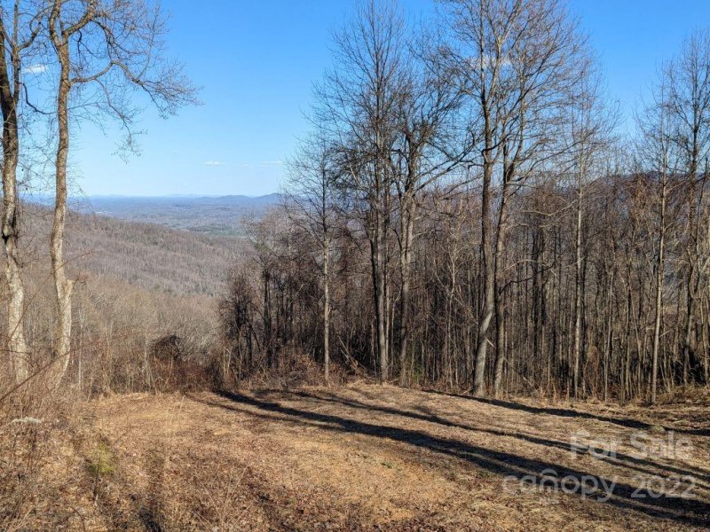 Property image 3 at T 17 67 Tanager Lane, Black Mountain, NC 28711
