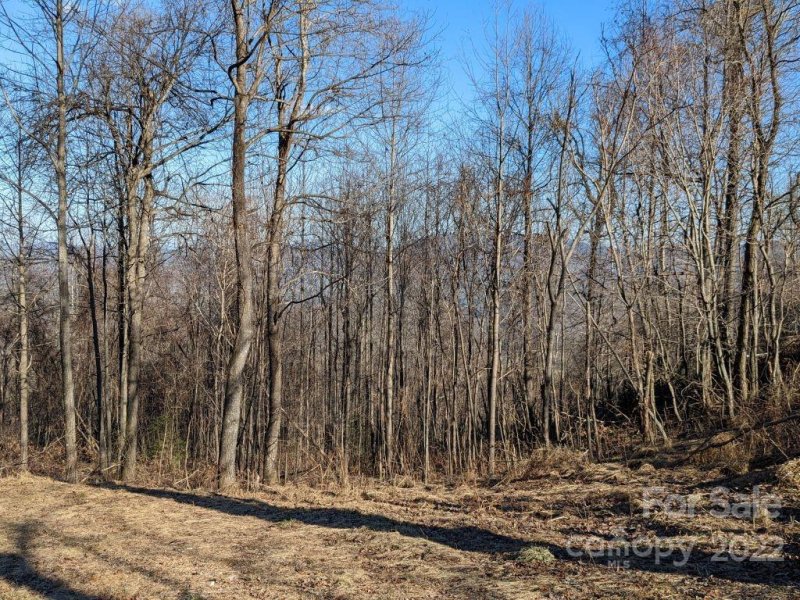 Property image 4 at T 17 67 Tanager Lane, Black Mountain, NC 28711