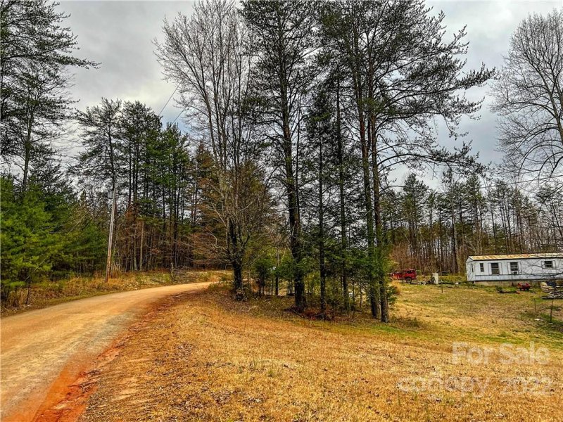 Property image 4 at 59 Cold Springs Drive, Mill Spring, NC 28756