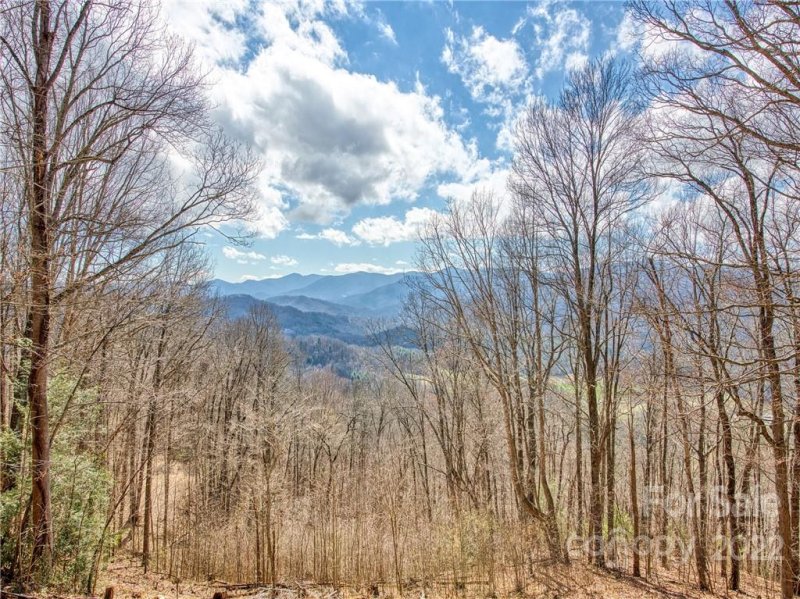 Property image 4 at 157 Eli Ridge Road, Clyde, NC 28721