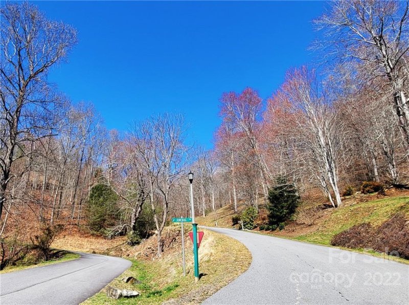 Property image 3 at 9 Junebug Trail, Waynesville, NC 28785