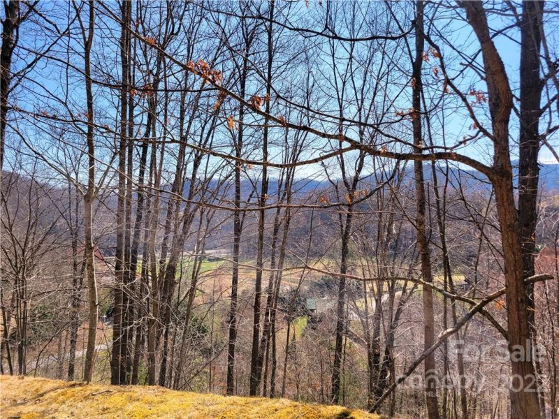 Property image 5 at 9 Junebug Trail, Waynesville, NC 28785