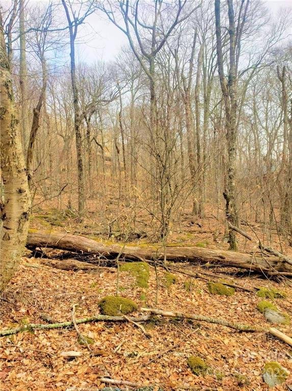 Property image 3 at 0 Shelter Rock Circle, Sugar Mountain, NC 28604