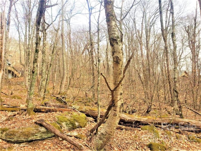 Property image 4 at 0 Shelter Rock Circle, Sugar Mountain, NC 28604