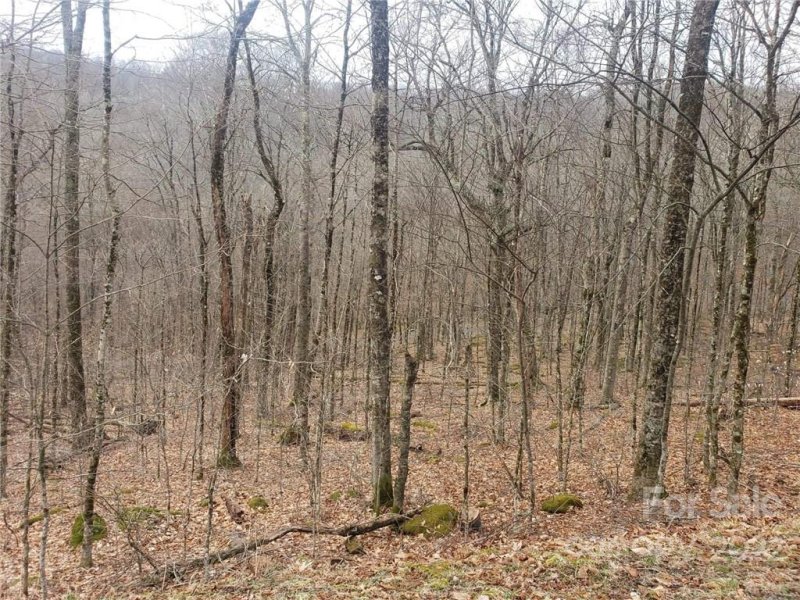 Property image 5 at 0 Shelter Rock Circle, Sugar Mountain, NC 28604