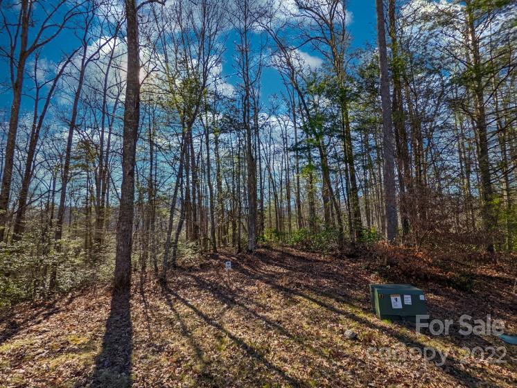 Property image 2 at 1156 Bear River Lodge Trail, Marshall, NC 28753