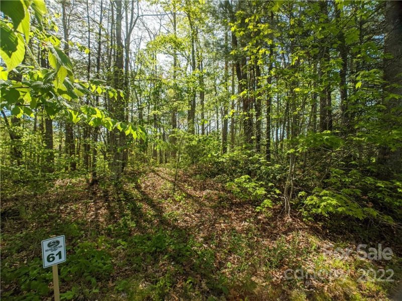 Property image 3 at 1156 Bear River Lodge Trail, Marshall, NC 28753