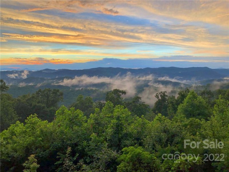 Property image 3 at 1505 Rixhaven Drive, Saluda, NC 28773