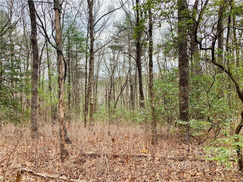 Property image 2 at 0000 Club Drive, Sapphire, NC 28774