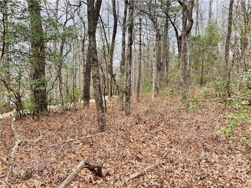 Property image 3 at 0000 Club Drive, Sapphire, NC 28774