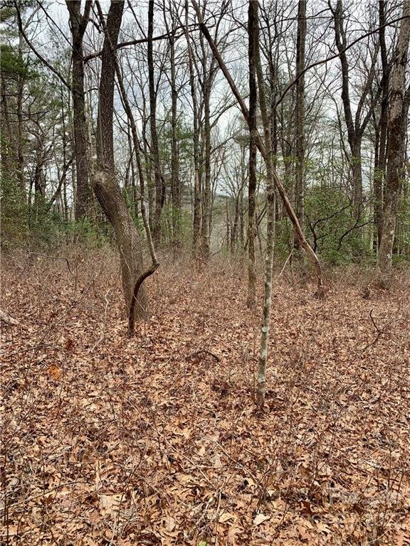 Property image 5 at 0000 Club Drive, Sapphire, NC 28774