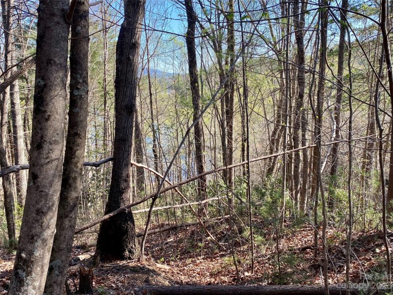 Property image 2 at 96 Winghaven Drive, Nebo, NC 28761