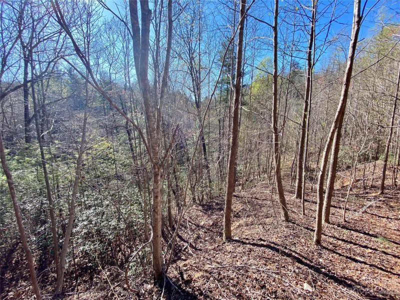 Property image 3 at 96 Winghaven Drive, Nebo, NC 28761