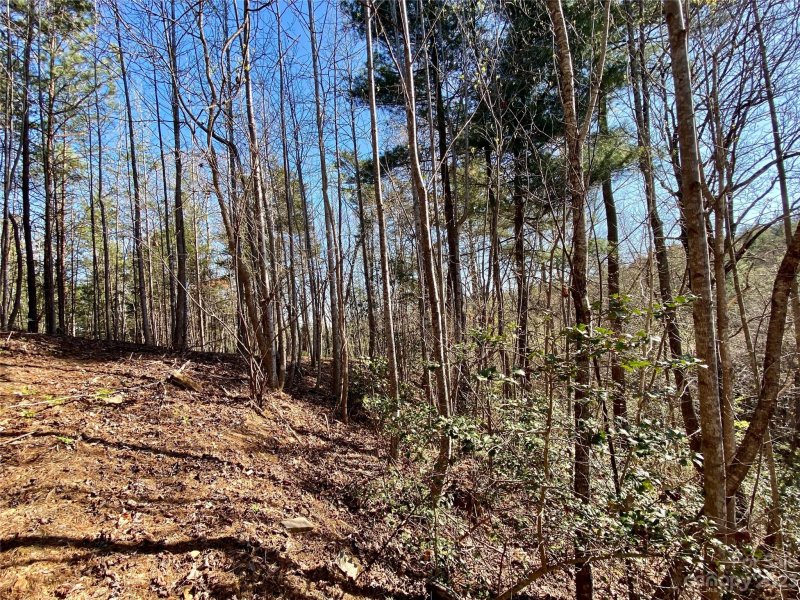 Property image 4 at 96 Winghaven Drive, Nebo, NC 28761