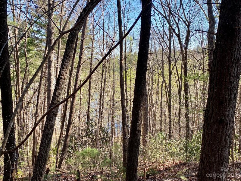 Property image 5 at 96 Winghaven Drive, Nebo, NC 28761