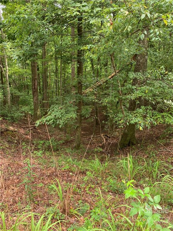 Property image 3 at Tbd Boys Camp Road, Lake Lure, NC 28746