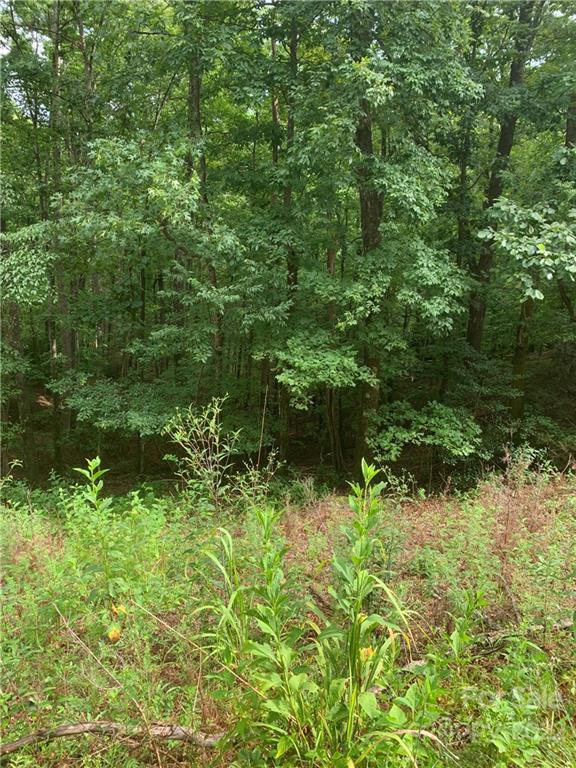 Property image 4 at Tbd Boys Camp Road, Lake Lure, NC 28746