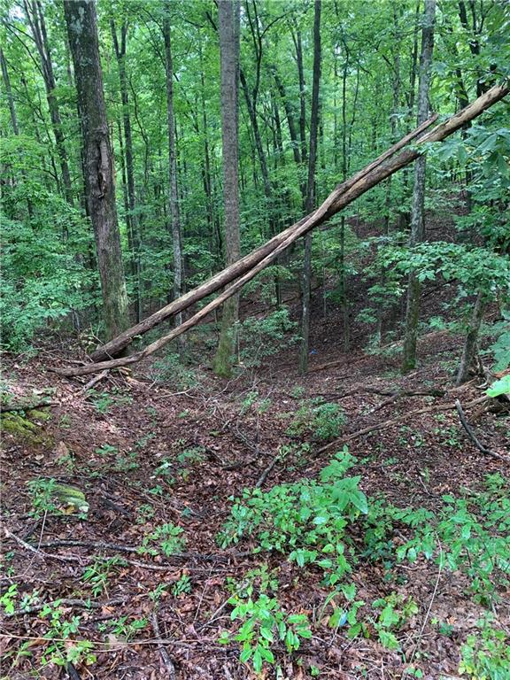 Property image 5 at Tbd Boys Camp Road, Lake Lure, NC 28746