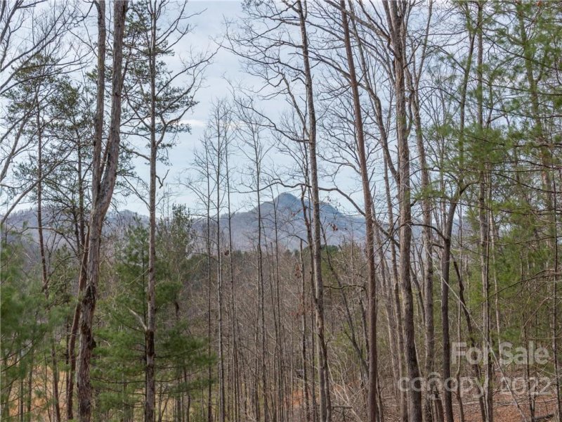 Property image 3 at 20 Oak Mountain Drive, Leicester, NC 28748