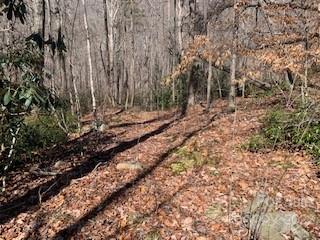 Property image 2 at 42 Acres Green River Cove Road, Saluda, NC 28773