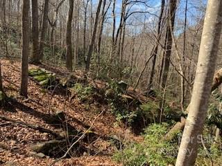 Property image 4 at 42 Acres Green River Cove Road, Saluda, NC 28773