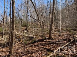 Property image 5 at 42 Acres Green River Cove Road, Saluda, NC 28773
