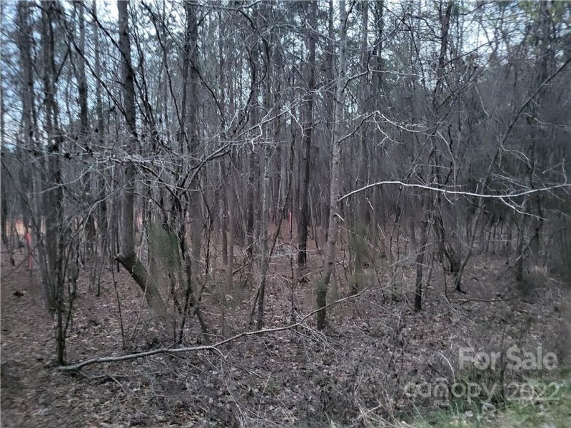 Property image 3 at Lot 1 2 Trade Mill Court, Winnsboro, SC 29180