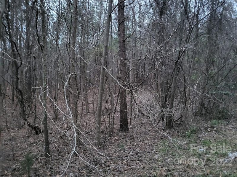 Property image 4 at Lot 1 2 Trade Mill Court, Winnsboro, SC 29180