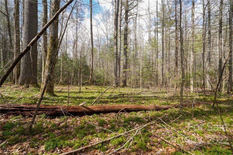 Property image 3 at Tbd Cherrywood Lane, Pisgah Forest, NC 28768