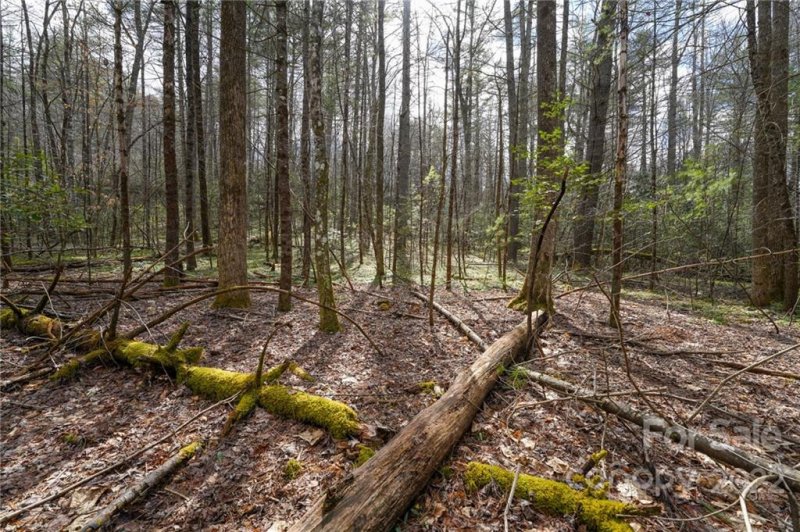 Property image 4 at Tbd Cherrywood Lane, Pisgah Forest, NC 28768