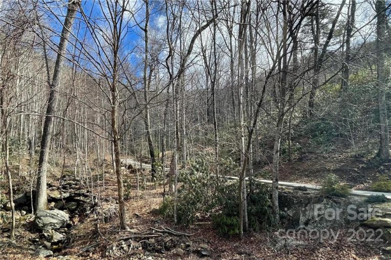 Property image 3 at 41 Wedgewood Terrace, Black Mountain, NC 28711