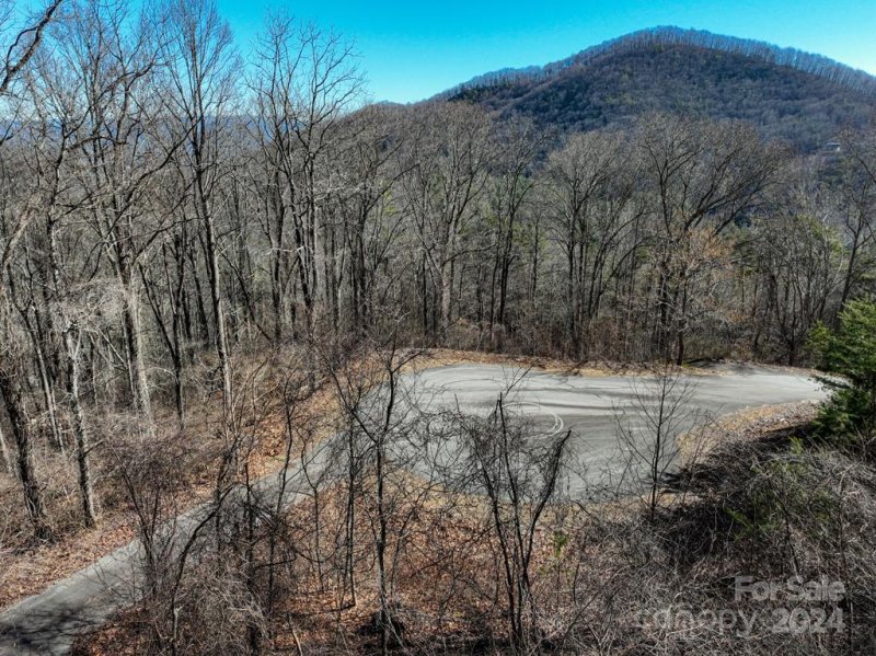 Property image 2 at 108 Mountain Magnolia Drive, Leicester, NC 28748