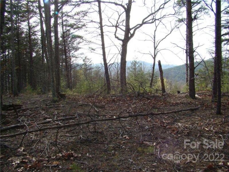 Property image 2 at 47 Woodgate Drive, Bostic, NC 28018