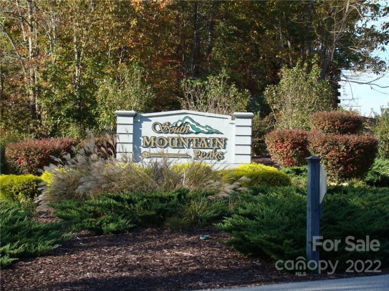 Property image 3 at 48 Woodgate Drive, Bostic, NC 28018