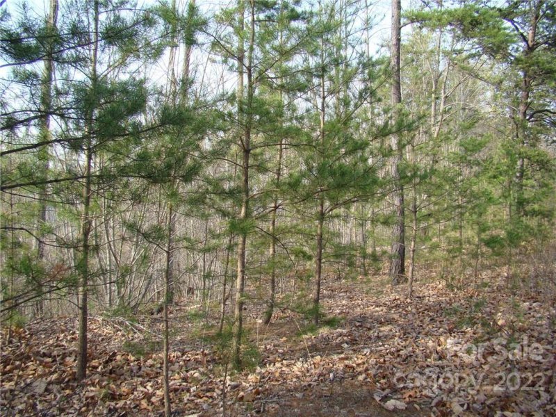 Property image 5 at 48 Woodgate Drive, Bostic, NC 28018