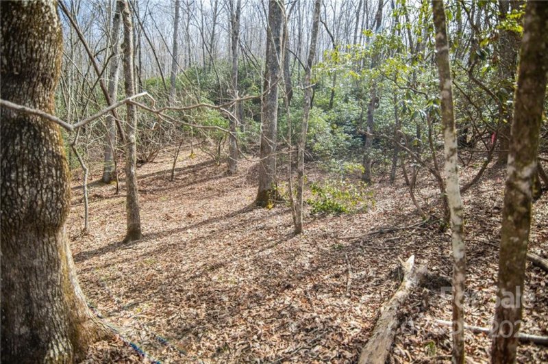 Property image 3 at 0 Steel Creek Road, Brevard, NC 28712