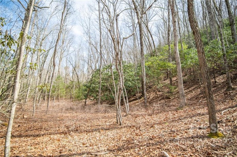 Property image 4 at 0 Steel Creek Road, Brevard, NC 28712